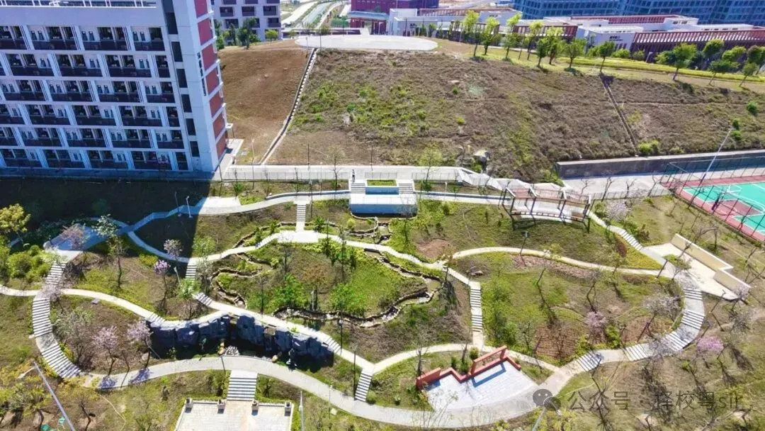 2026年广州中考五月线下咨询会时间汇总!!!广州市医药职业学校校园开放日(预约参观) 第19张