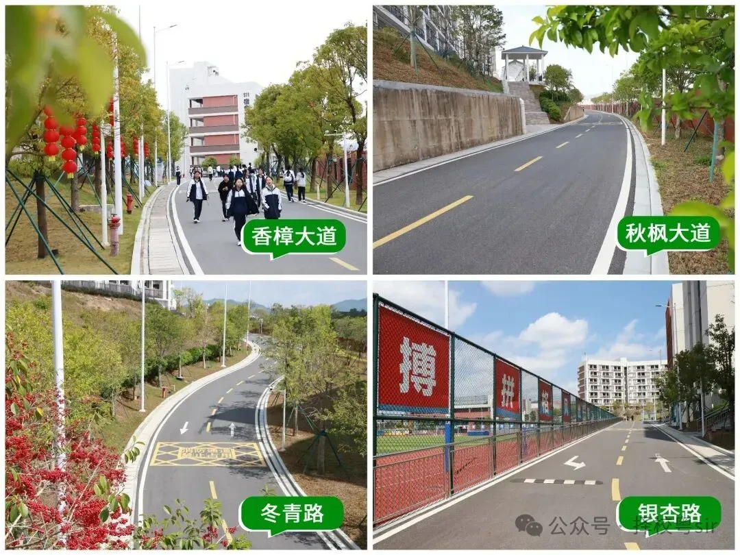 2026年广州中考五月线下咨询会时间汇总!!!广州市医药职业学校校园开放日(预约参观) 第25张