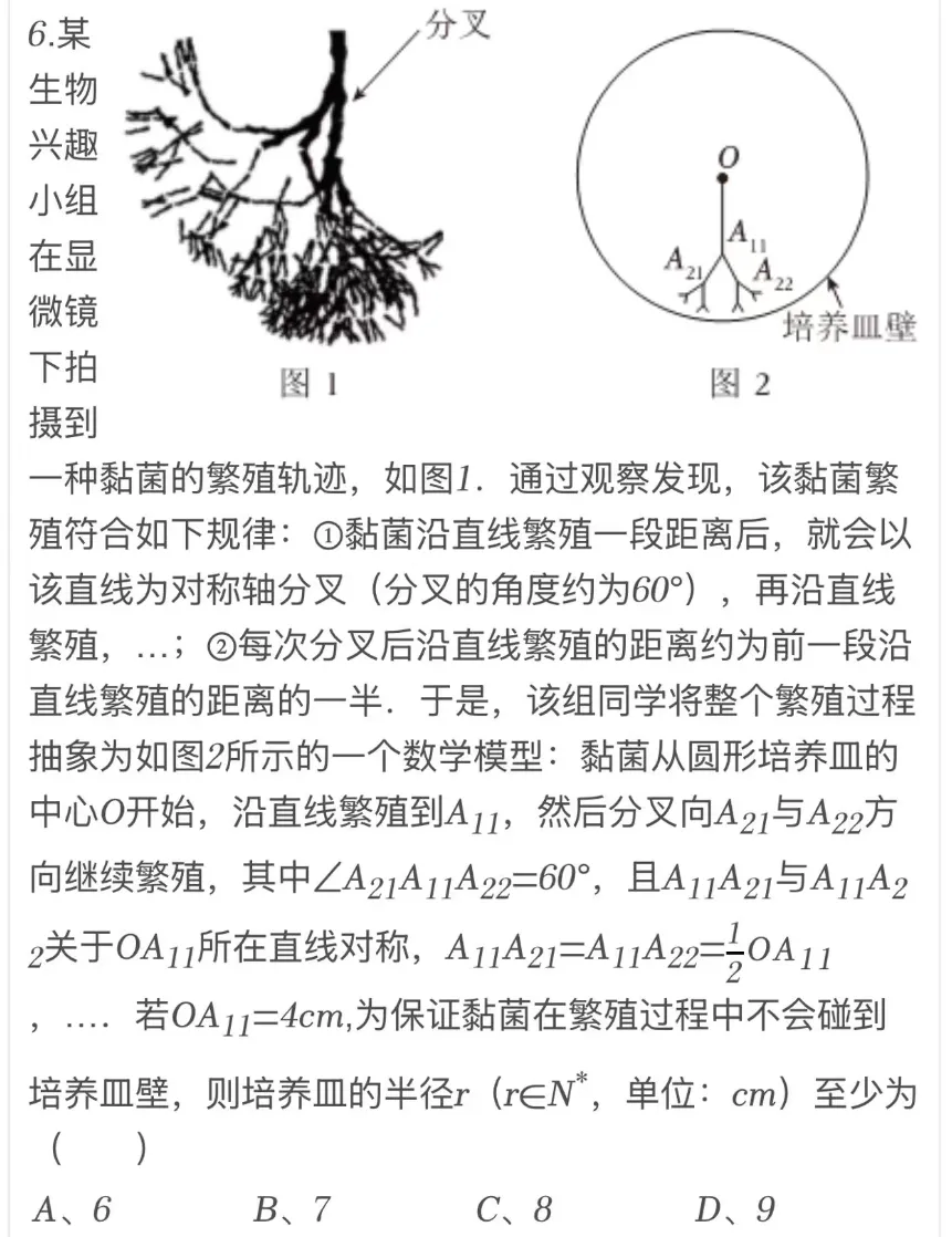 弊大于利的试卷,少写慎写 第10张