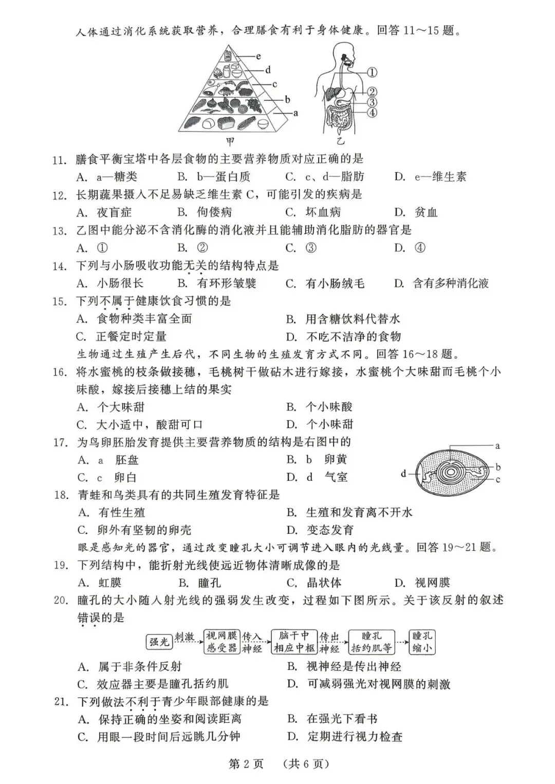 2026年福建中考生物模拟卷 第2张