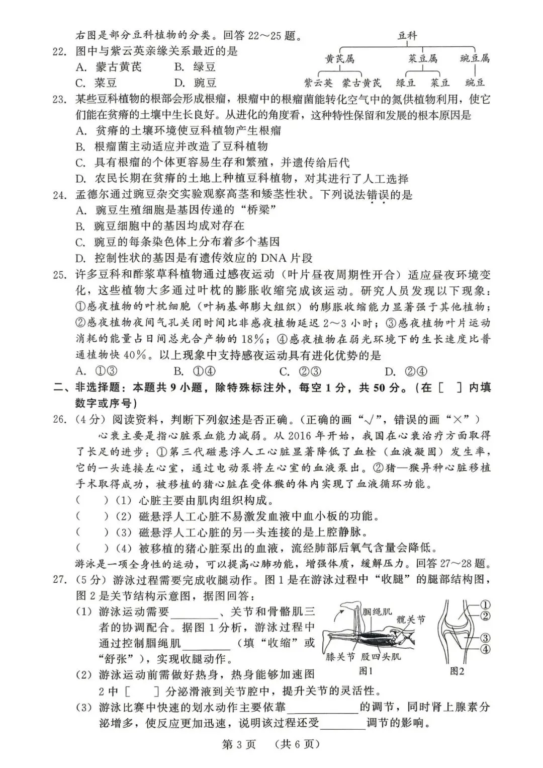 2026年福建中考生物模拟卷 第3张