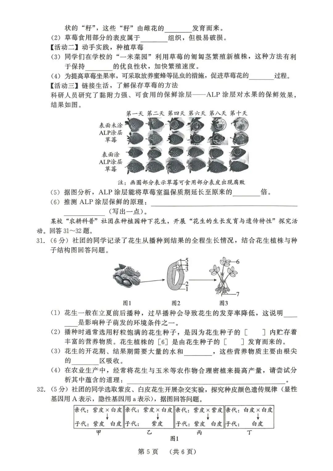 2026年福建中考生物模拟卷 第5张