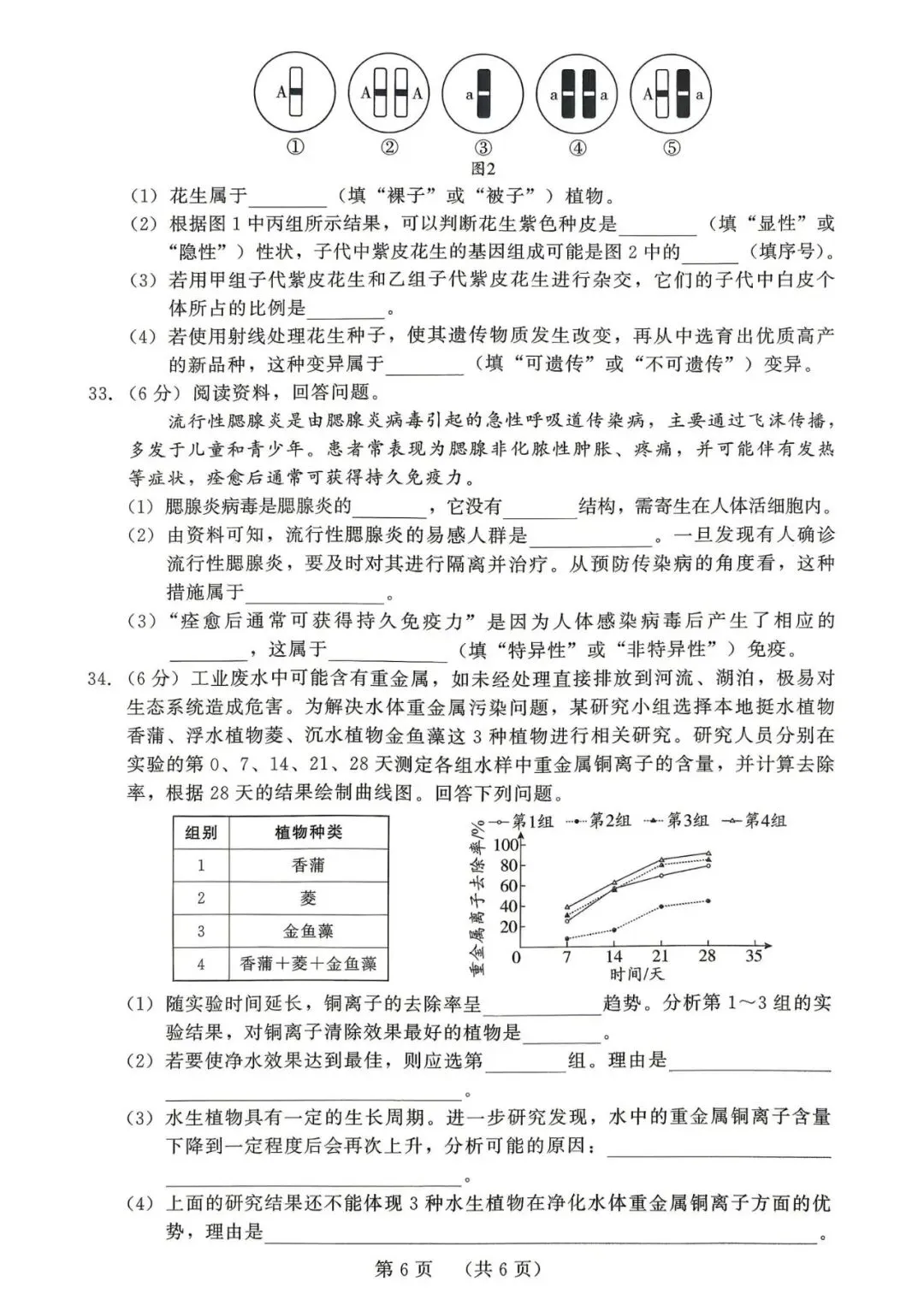 2026年福建中考生物模拟卷 第6张