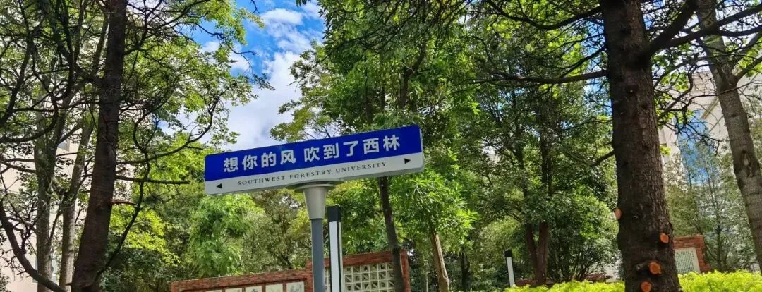 西南林业大学林业/林学考研历年真题答案︱21-802一研为定,定为研一 第13张