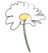 深耕中考,示范引领—胡昌清英语名师工作室开展送教下乡活动 第6张