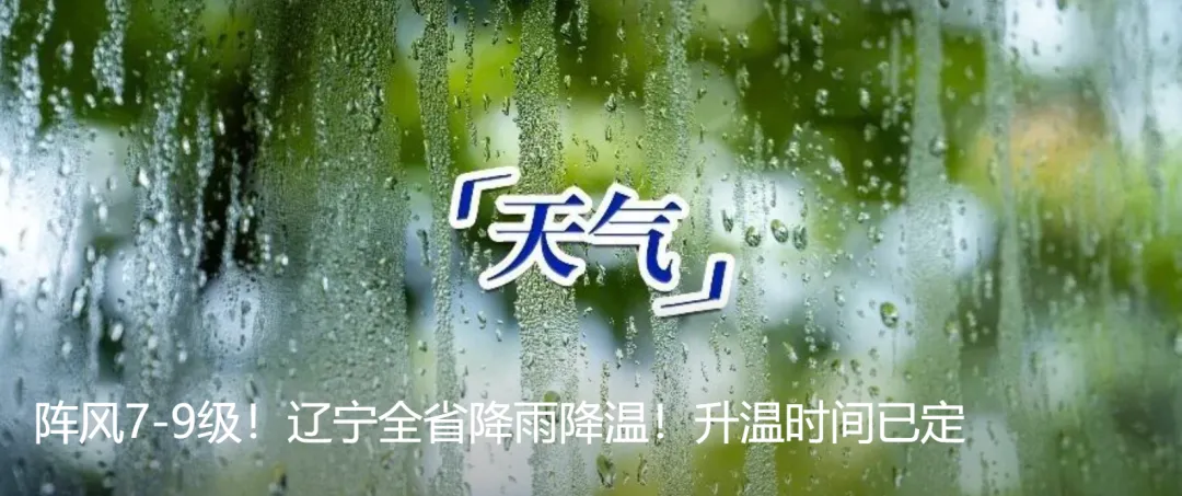 支招!沈阳中考倒计时,如何顺利备考? 第12张