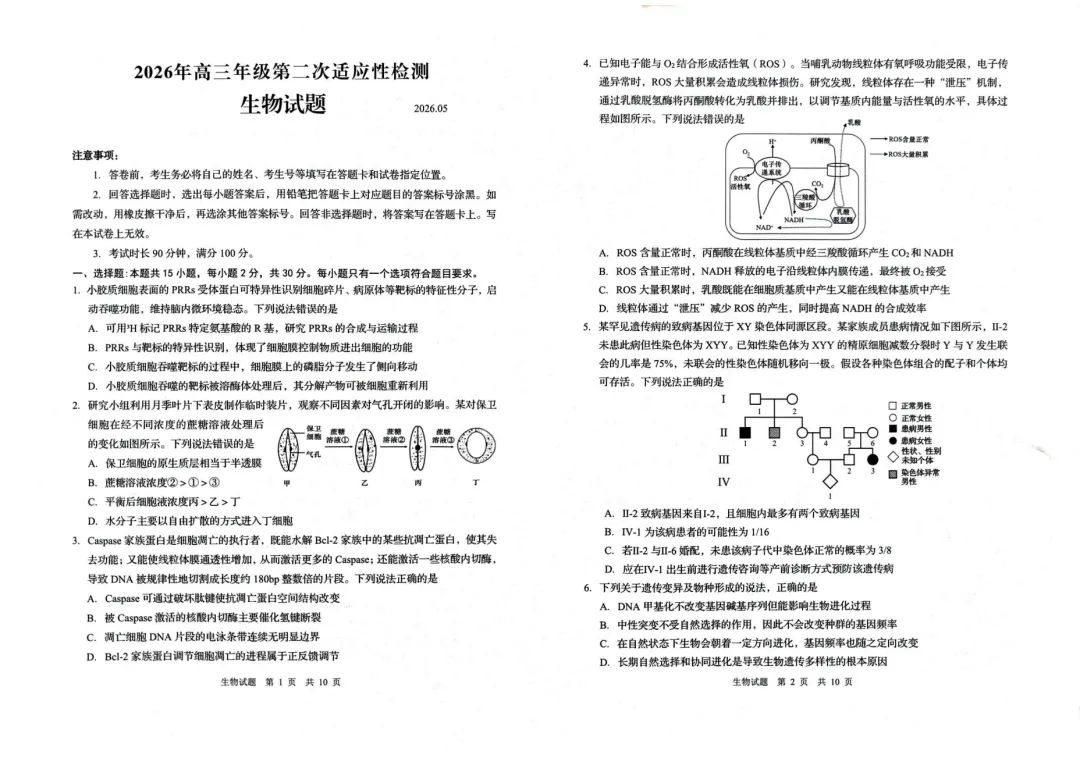 速存!青岛市高三二模真题全面汇总(含答案) 第12张