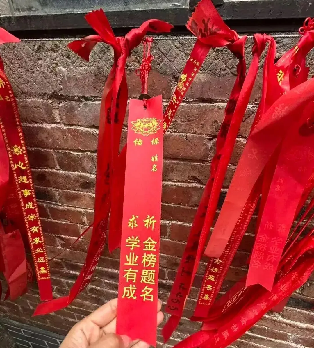 中考/高考必报!藜涌双魁状元游学记,沾千年文气,为金榜题名赋能 第6张
