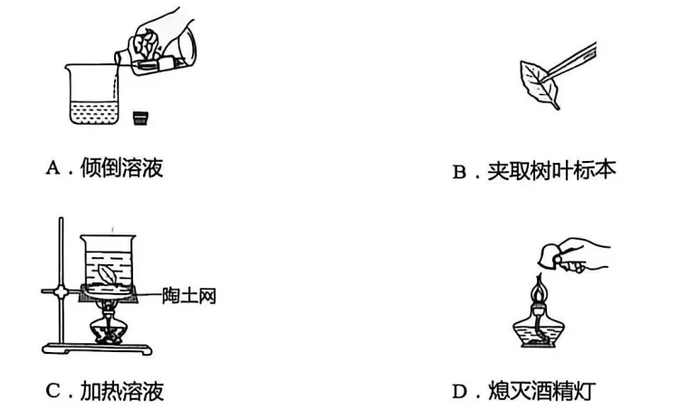 2026辽宁营口市中考一模九年级化学试卷及参考答案 智慧化学教学 出峡飞舟 昌图县杨智超初中化学名师种子工作室 第1张 2026辽宁营口市中考一模九年级化学试卷及参考答案 智慧化学教学 出峡飞舟 昌图县杨智超初中化学名师种子工作室 第1张
