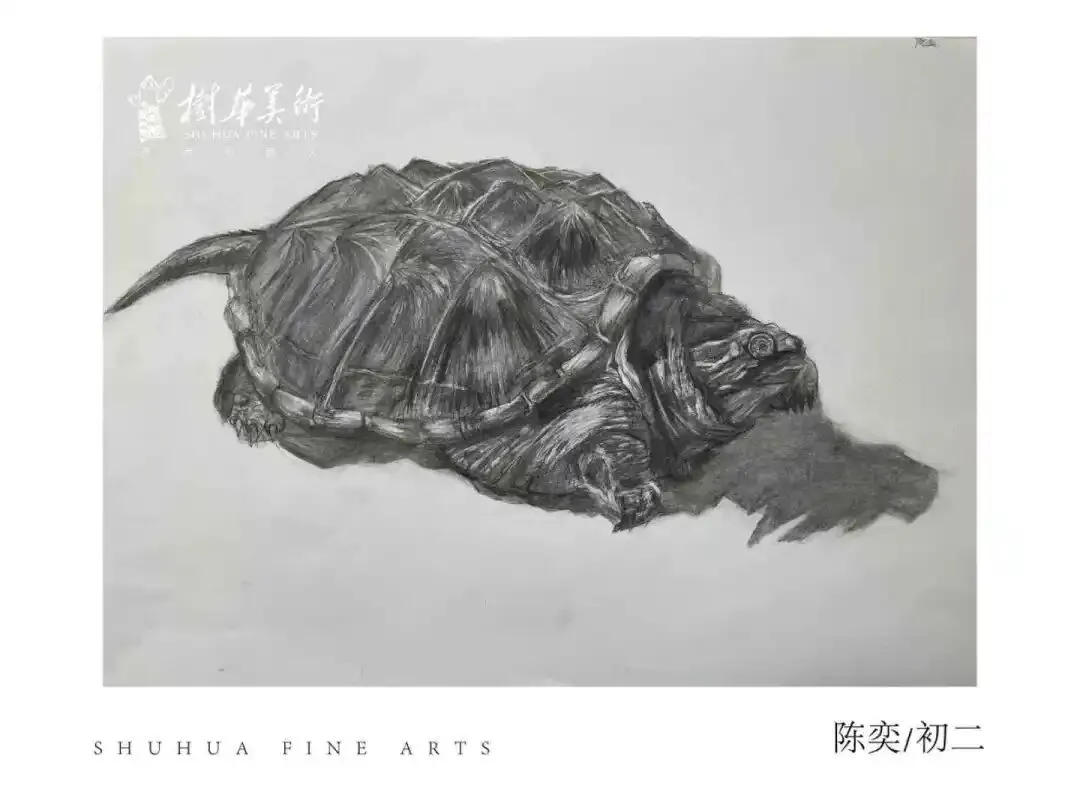 美术二类自主招生|中考美术集训营,专为深圳艺考生定制! 第20张