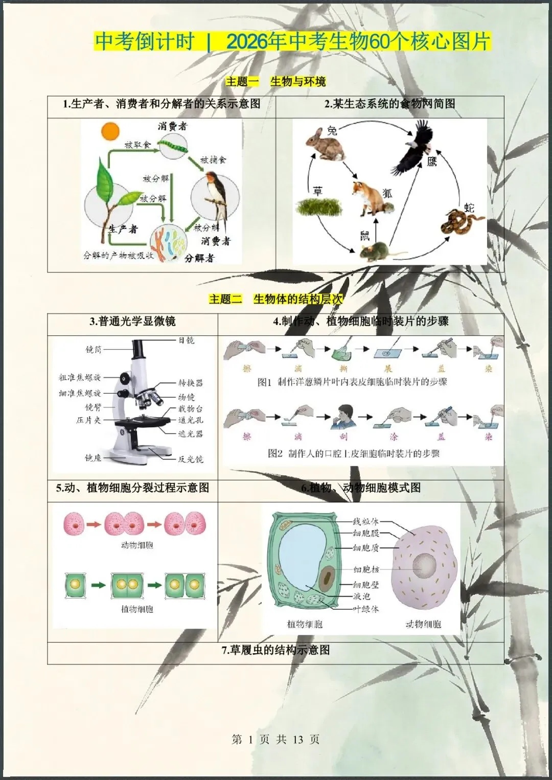 中考倒计时 | 2026年中考生物60个核心图片+核心考点背诵 61大类 第2张