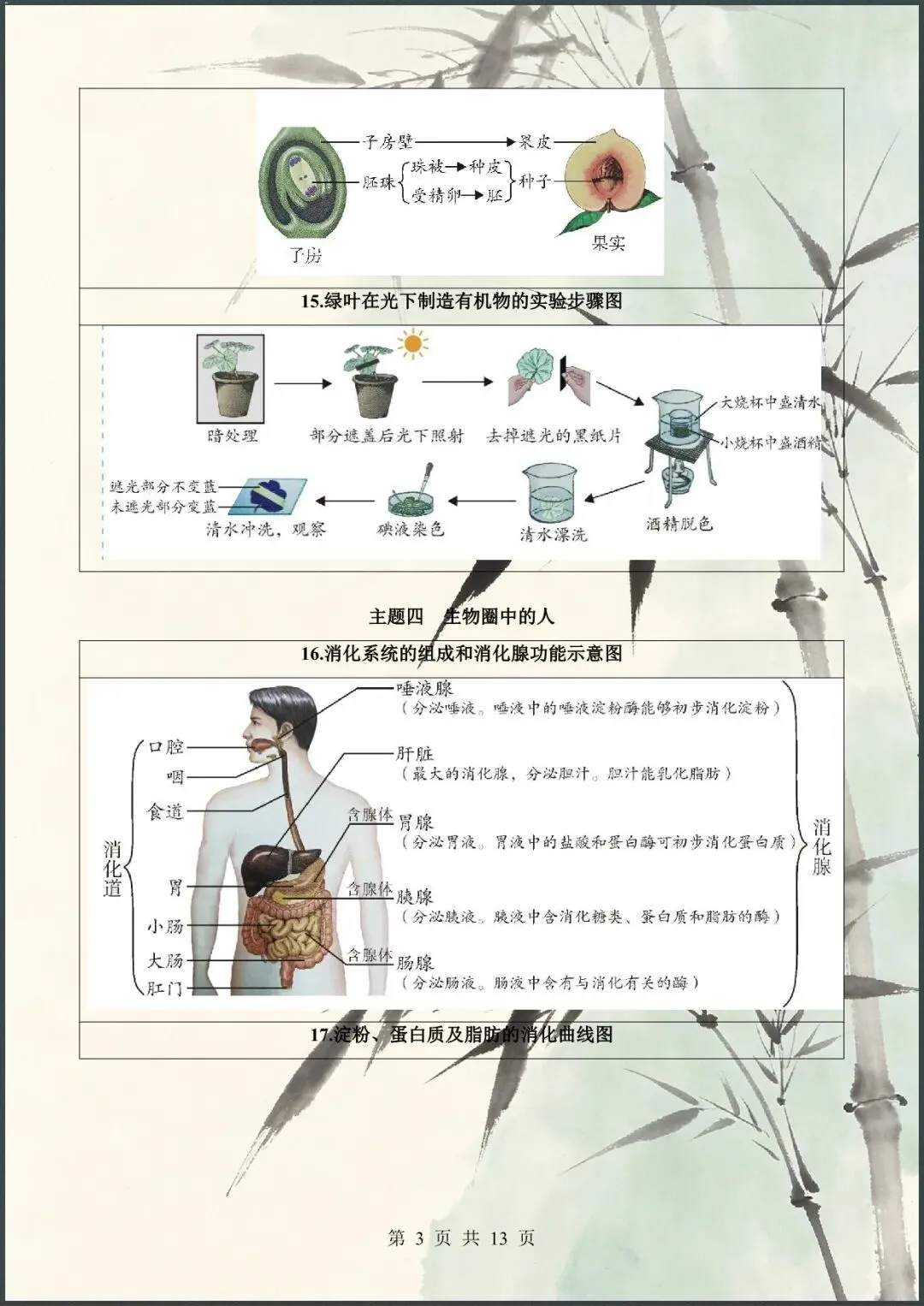 中考倒计时 | 2026年中考生物60个核心图片+核心考点背诵 61大类 第4张