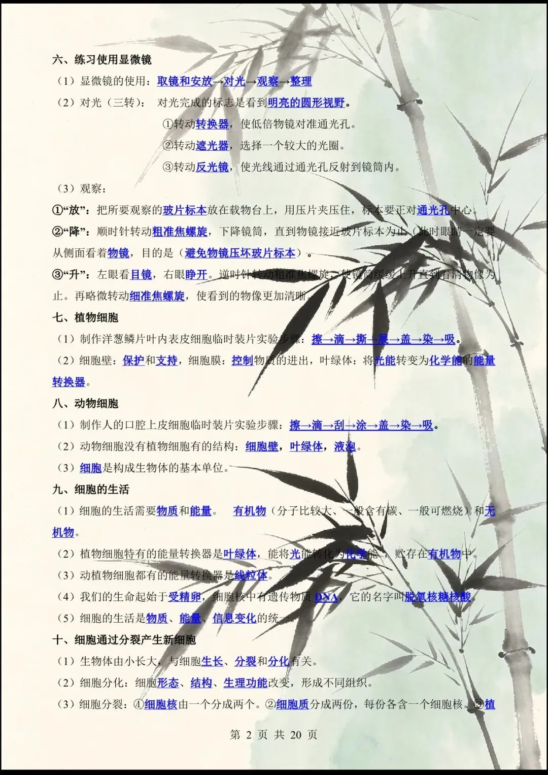中考倒计时 | 2026年中考生物60个核心图片+核心考点背诵 61大类 第8张
