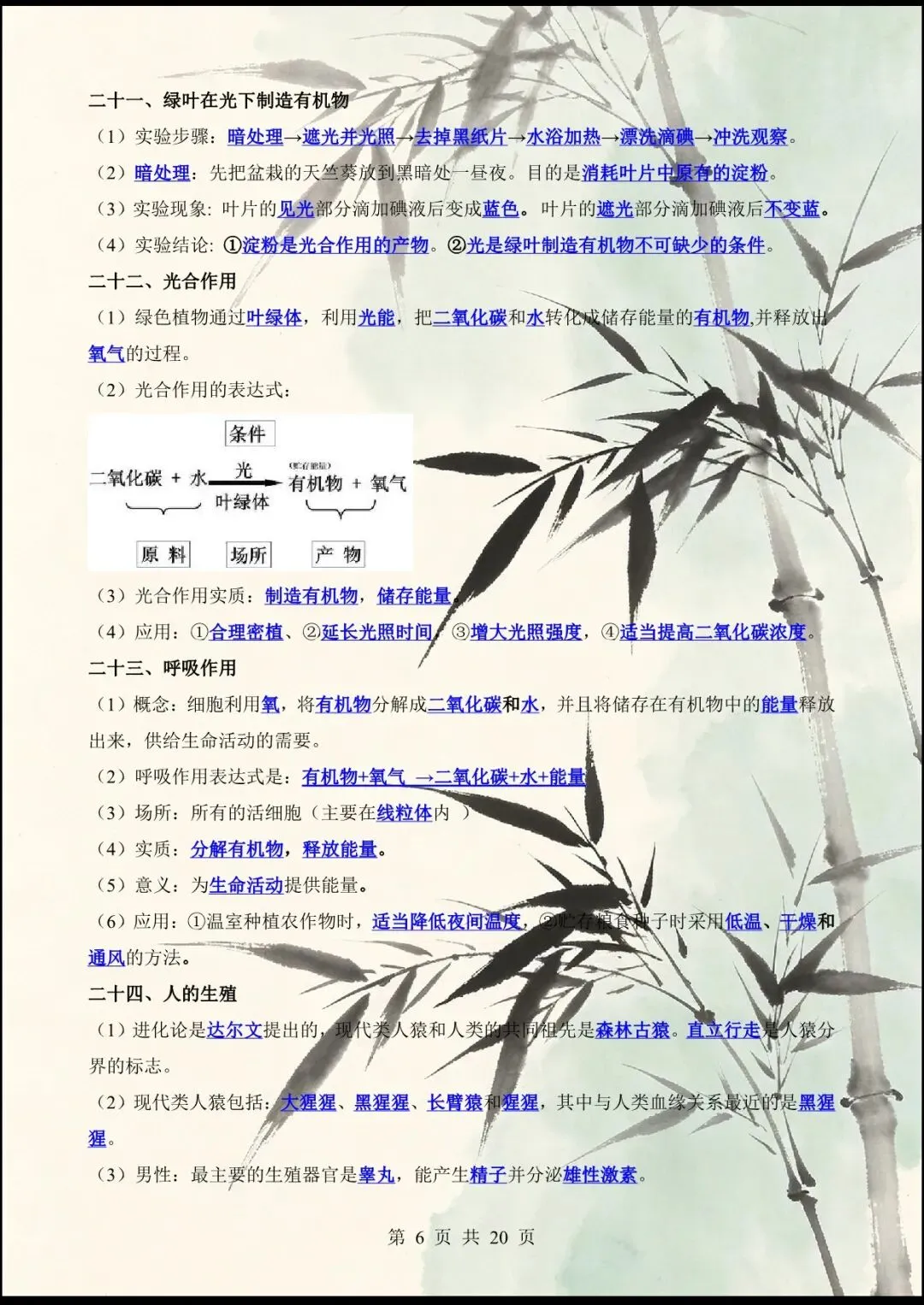 中考倒计时 | 2026年中考生物60个核心图片+核心考点背诵 61大类 第11张
