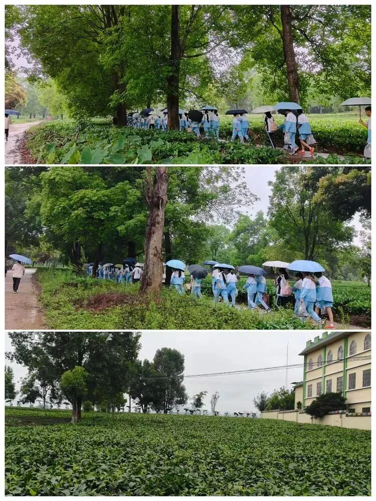 徒步砺心志 扬帆冲中考——民乐镇中学2026届学子青春出征 第4张