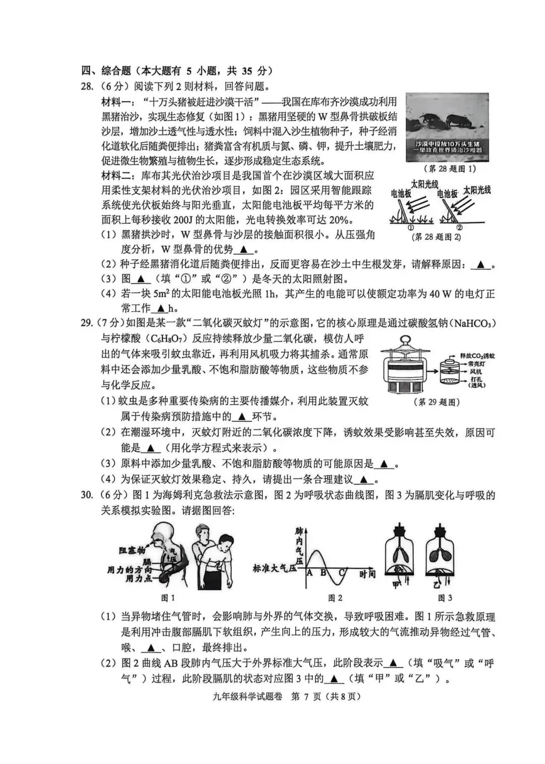 【中考一模·全科】2026.05浙江·杭州市萧山区中考一模试卷含答案(语文、科学、数学、社会、英语、听力材料) 第19张