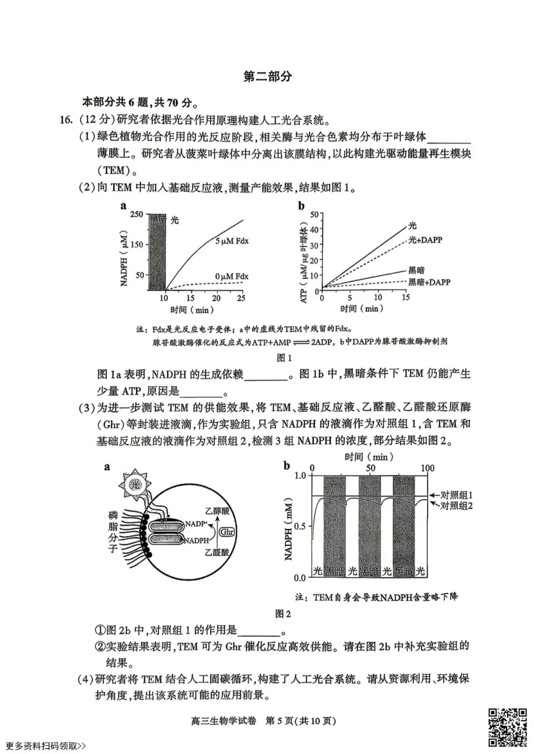 2026北京朝阳高三二模生物试卷 第5张 2026北京朝阳高三二模生物试卷 第5张