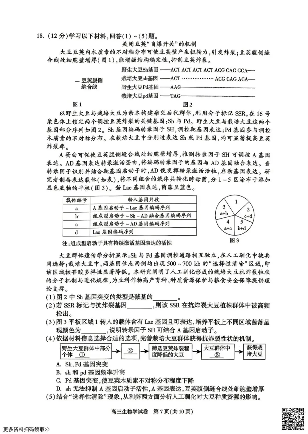 2026北京朝阳高三二模生物试卷 第7张 2026北京朝阳高三二模生物试卷 第7张