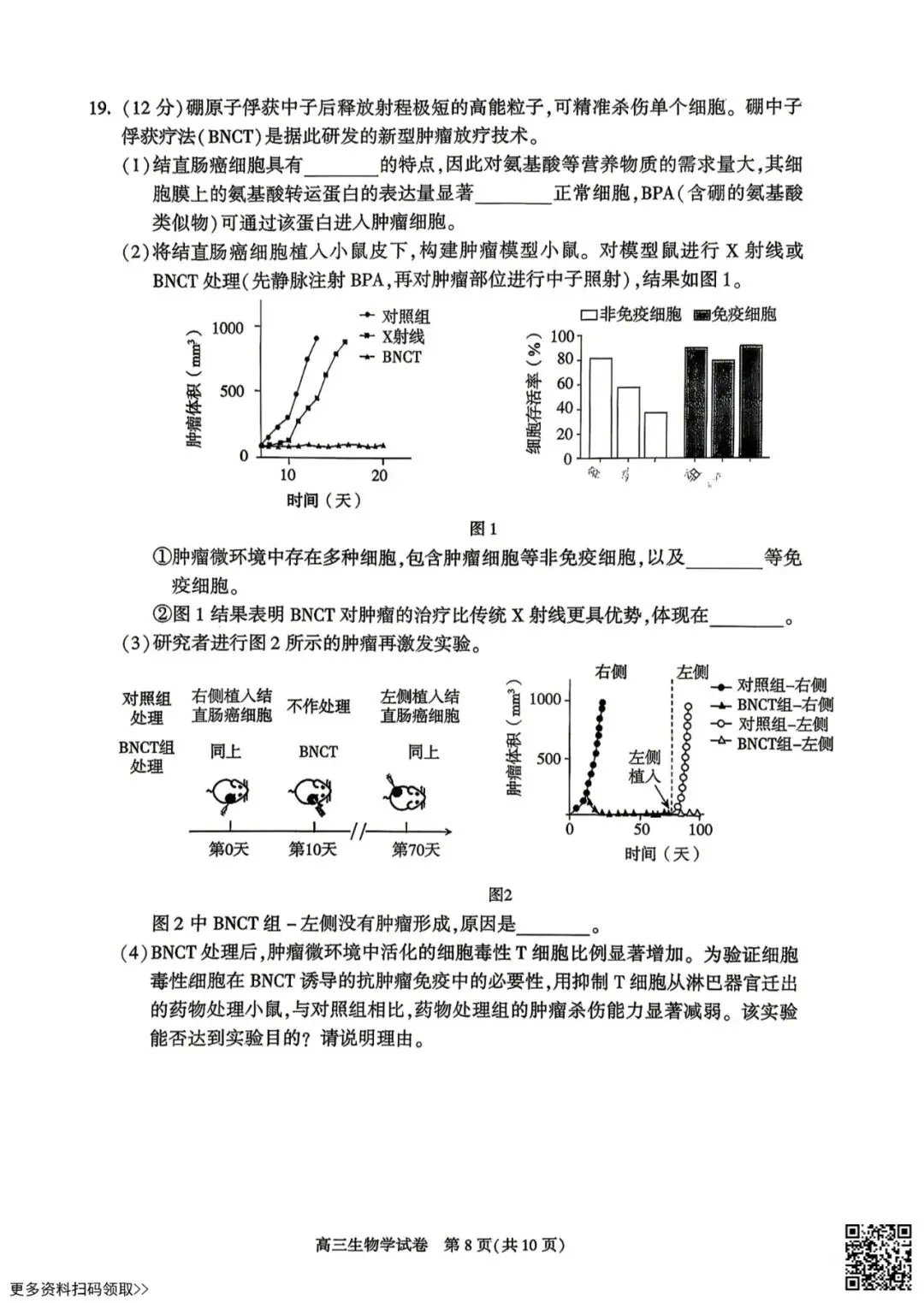 2026北京朝阳高三二模生物试卷 第8张 2026北京朝阳高三二模生物试卷 第8张