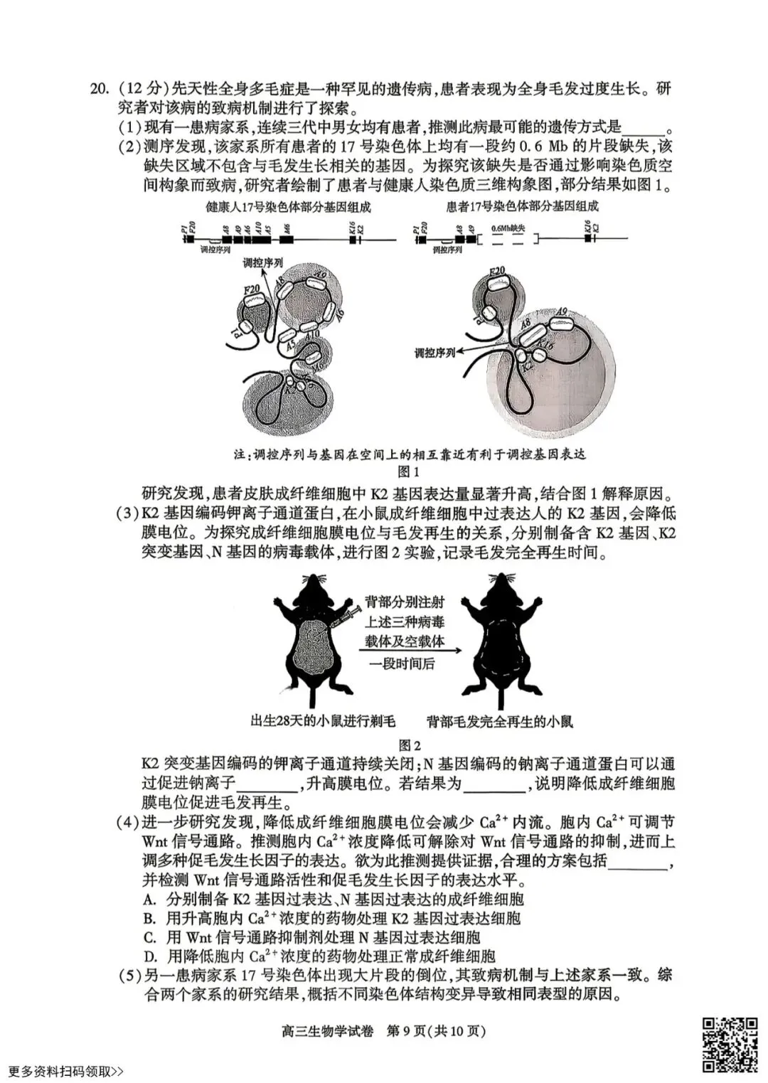 2026北京朝阳高三二模生物试卷 第9张 2026北京朝阳高三二模生物试卷 第9张