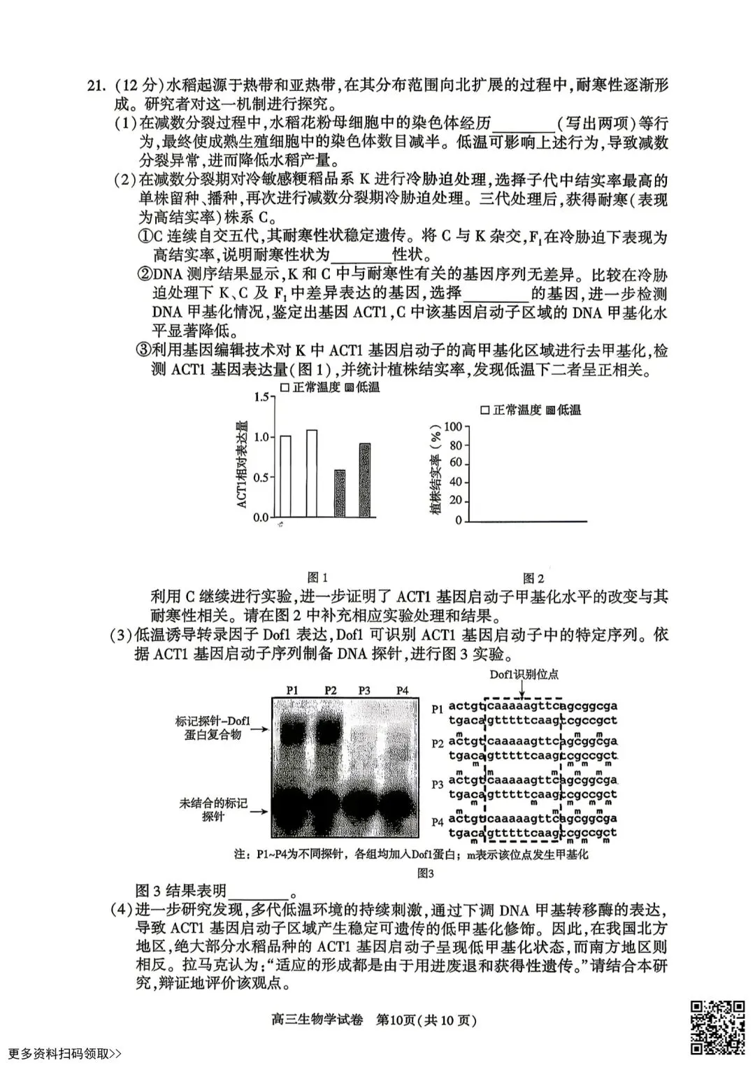 2026北京朝阳高三二模生物试卷 第10张 2026北京朝阳高三二模生物试卷 第10张