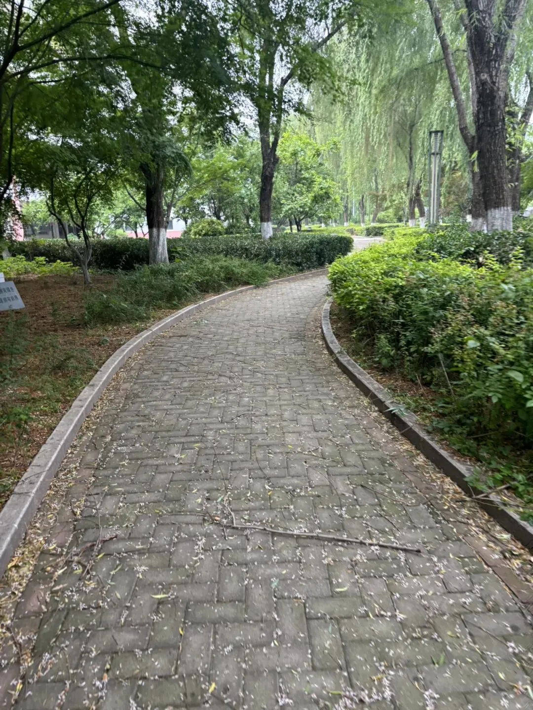 距中考34天 第1张