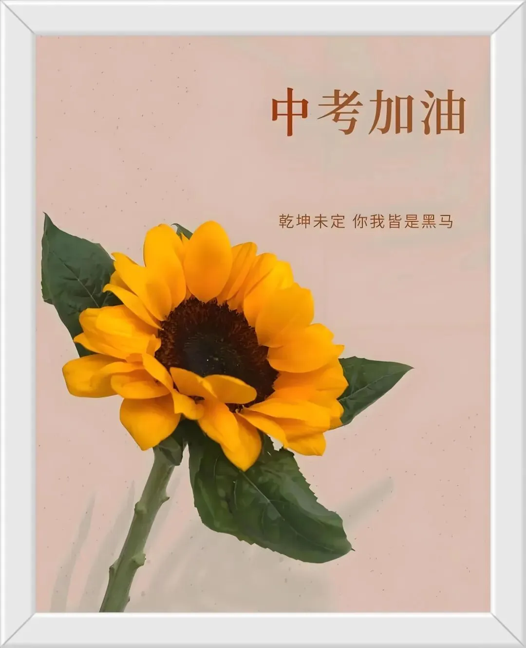 距中考34天 第2张
