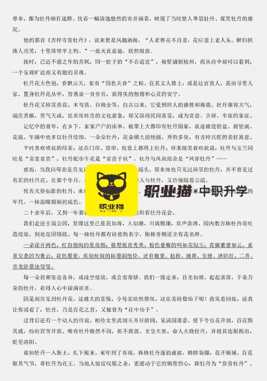 速领取!2026年山东省春考语文真题来咯!(昨日考完) 第7张