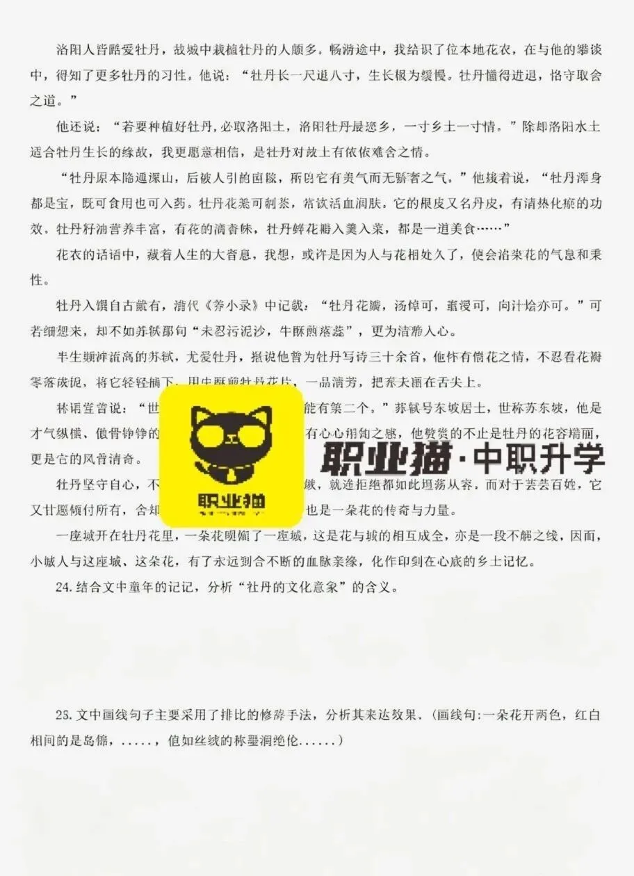 速领取!2026年山东省春考语文真题来咯!(昨日考完) 第8张