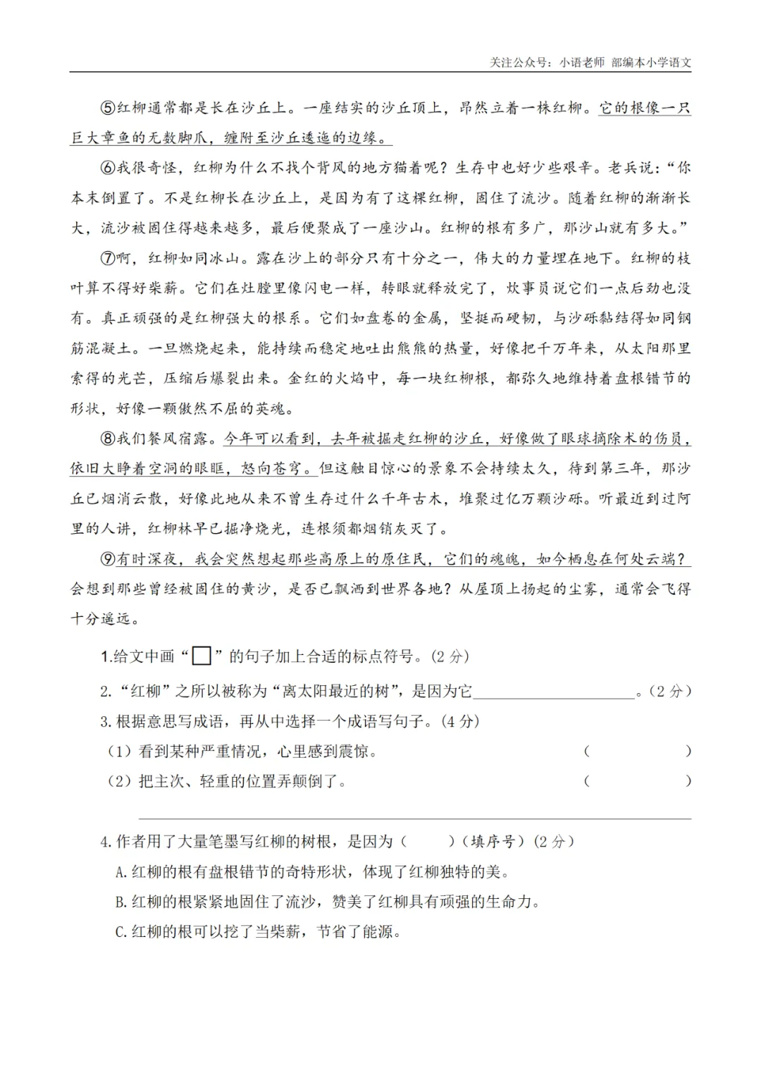 期末复习:5年级上册期末真题卷(三) 第6张