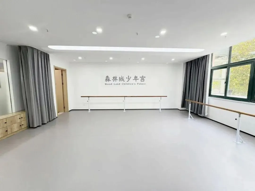 【重点推荐】2026年中考舞蹈特长生招生简章 第6张