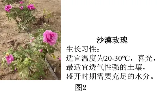 【初中地理】 2026年新人教版广东中考地理综合检测——中国地理(广东专用) 第10张