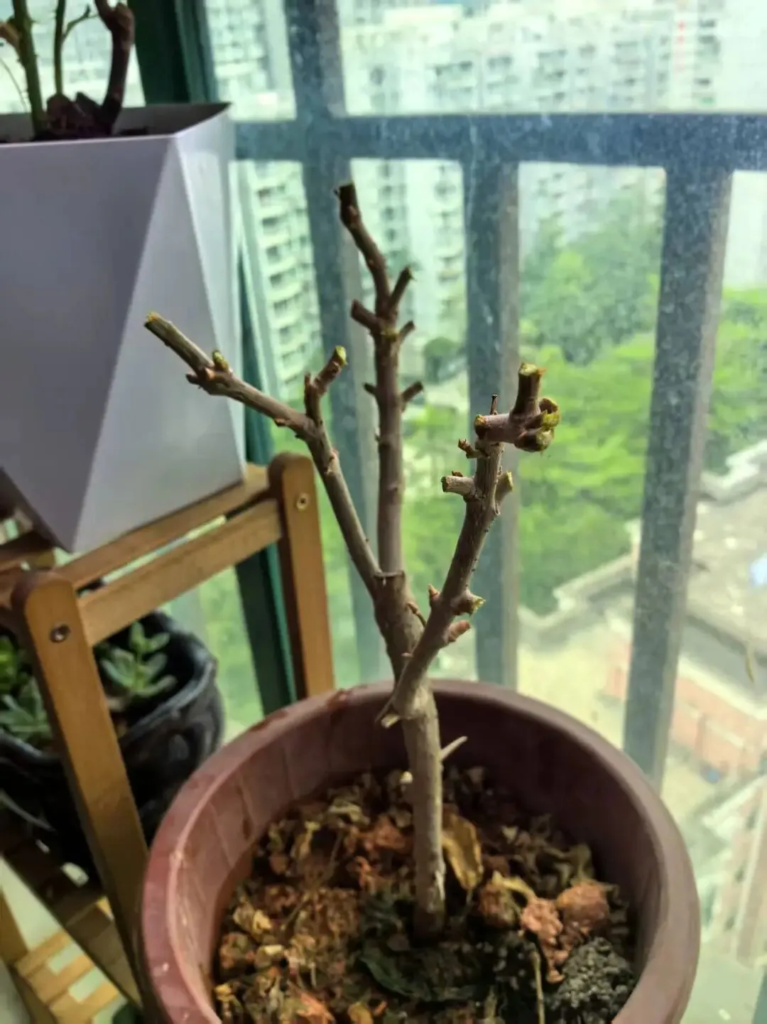 中考家庭的教育困境,藏在一场手机的争执里 第8张