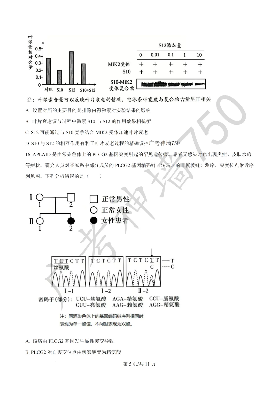 广东汕头市2026年普通高考第二次模拟考试试题 第207张
