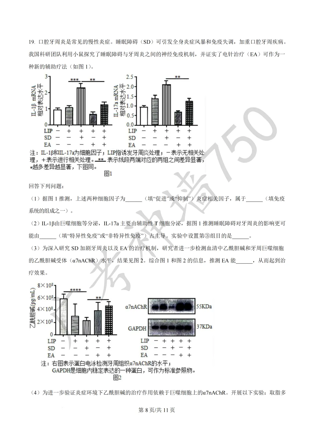 广东汕头市2026年普通高考第二次模拟考试试题 第210张