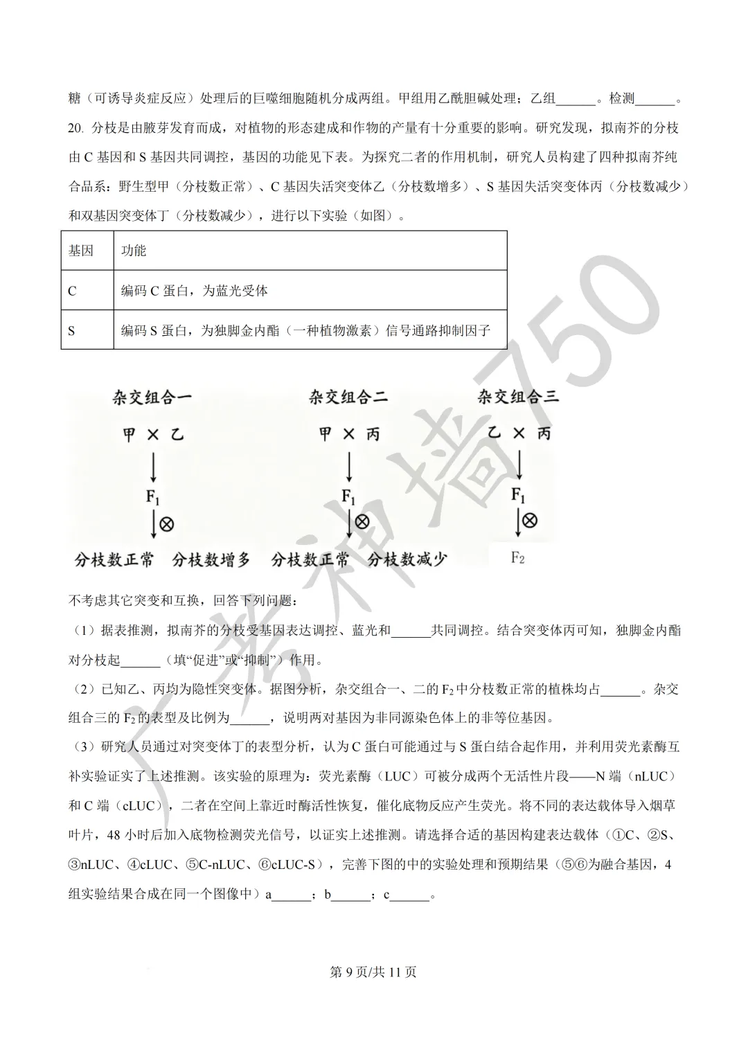 广东汕头市2026年普通高考第二次模拟考试试题 第211张