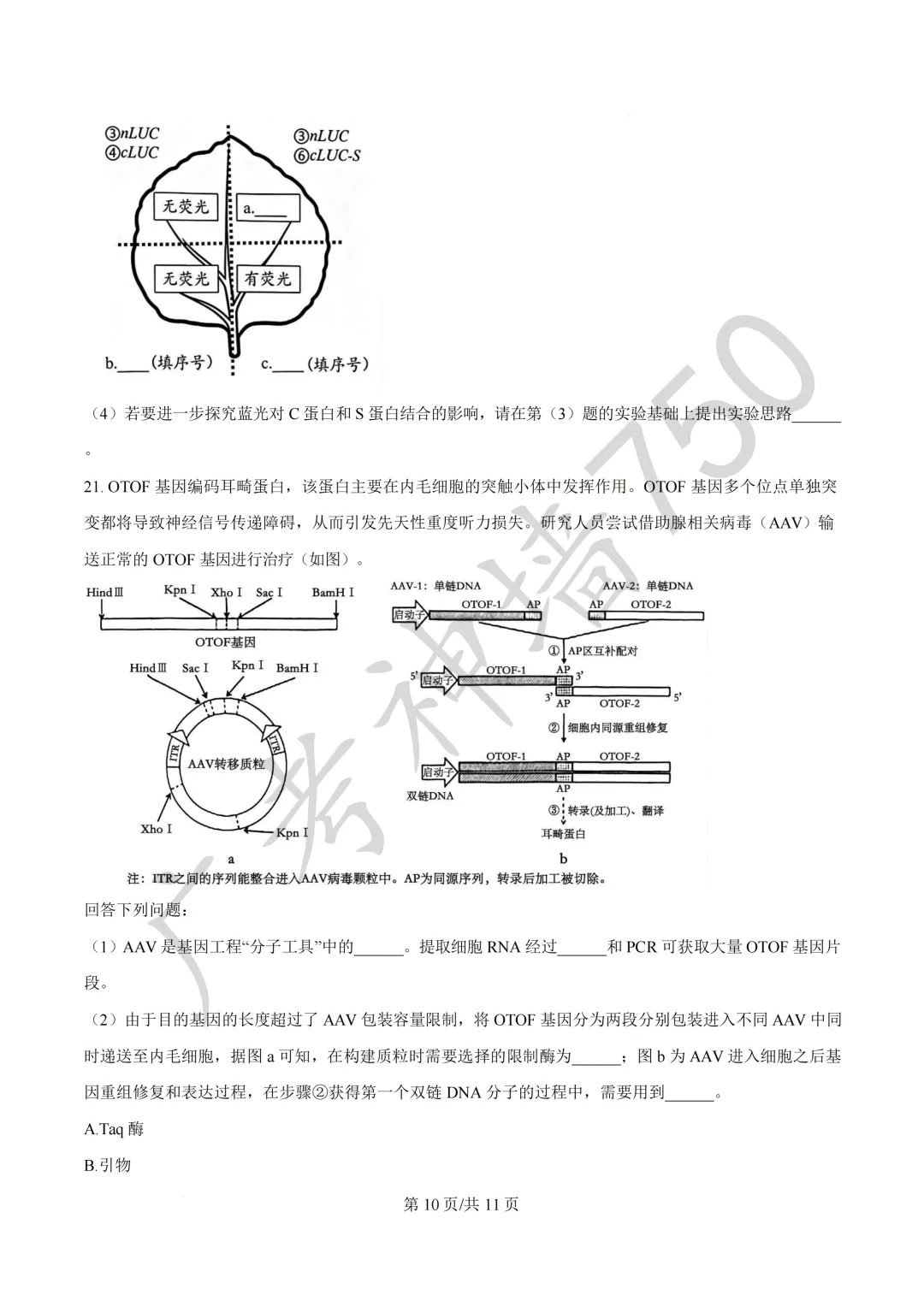 广东汕头市2026年普通高考第二次模拟考试试题 第212张