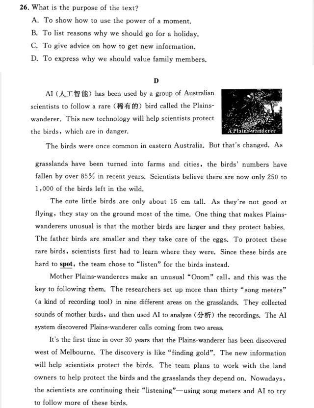 2025年浙江省初中学业水平考试英语真题卷(含正确答案和听力音频)(第二届浙江省中考统一命题) 第6张