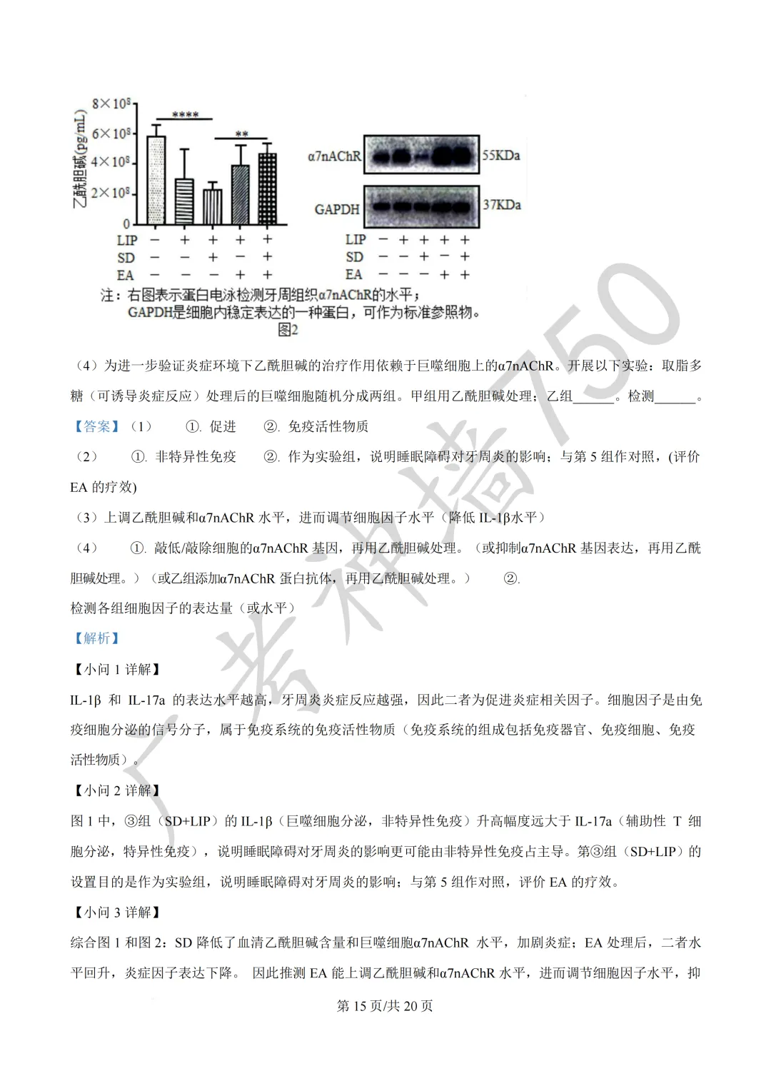 广东汕头市2026年普通高考第二次模拟考试试题 第228张