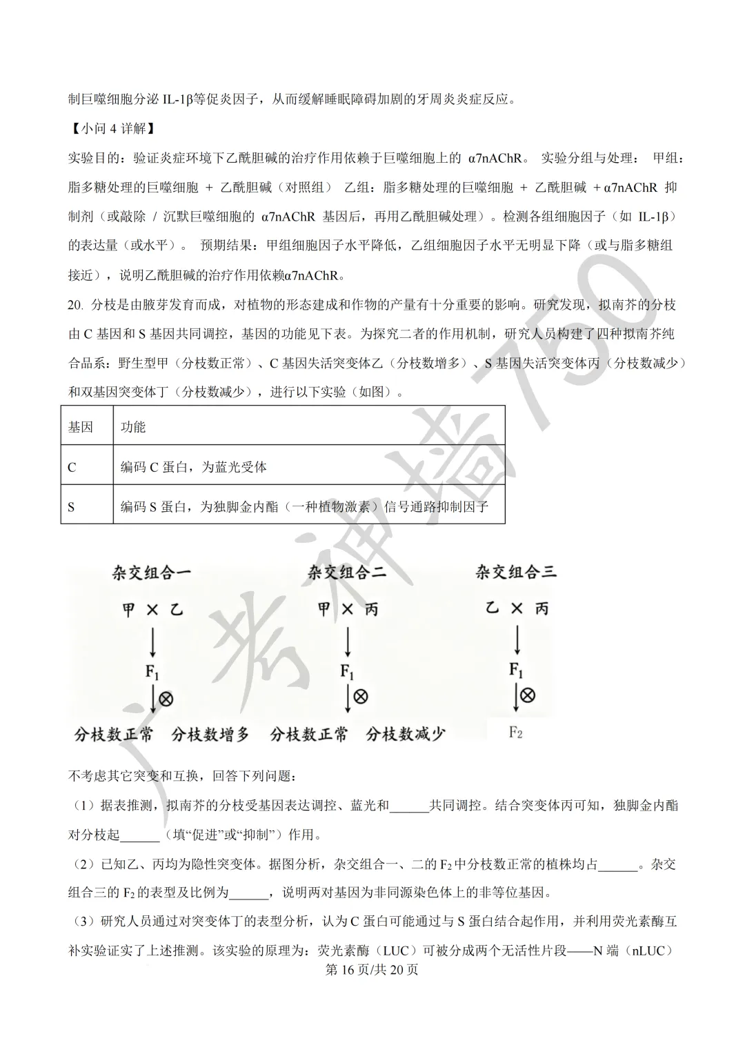 广东汕头市2026年普通高考第二次模拟考试试题 第229张