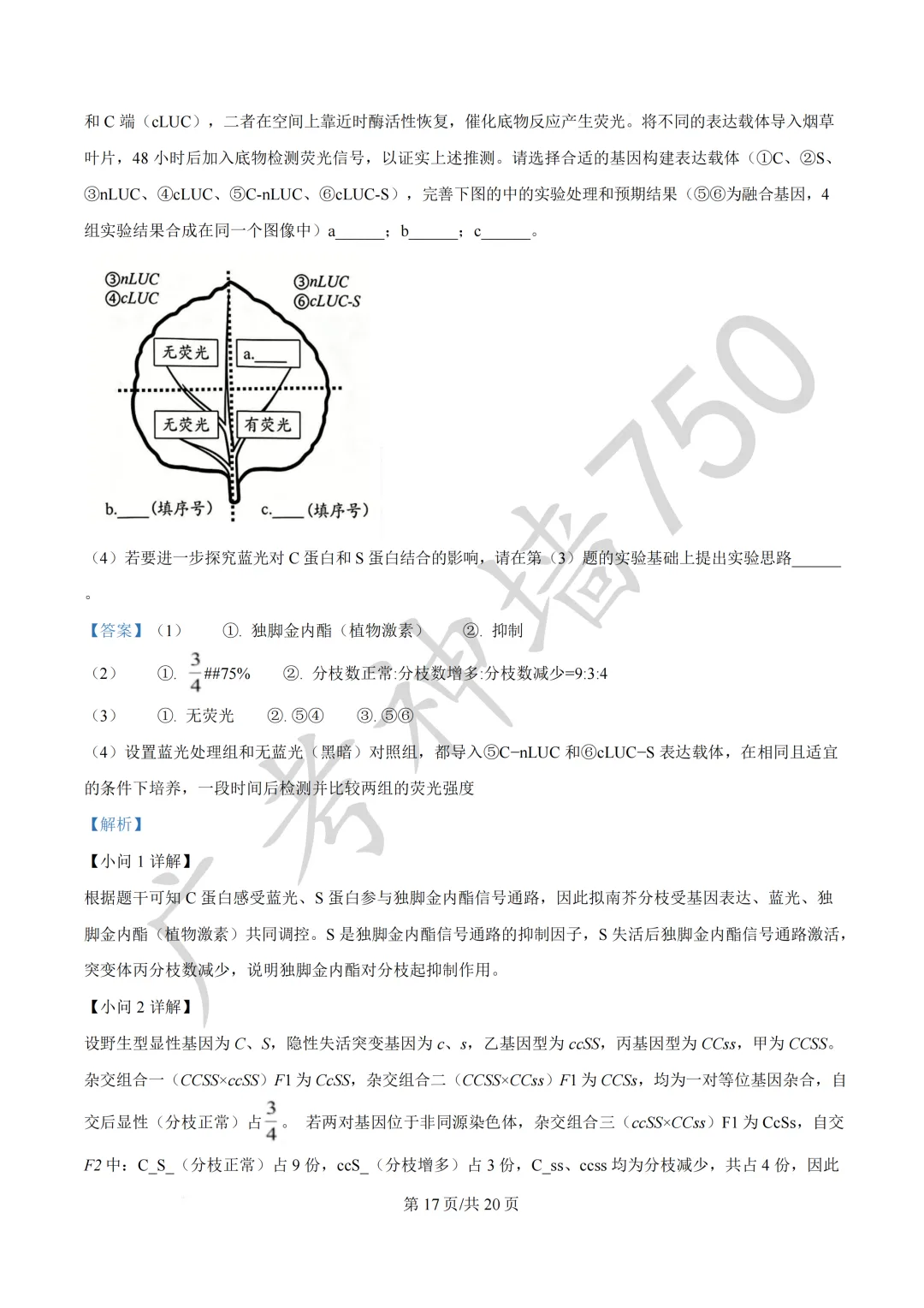 广东汕头市2026年普通高考第二次模拟考试试题 第230张