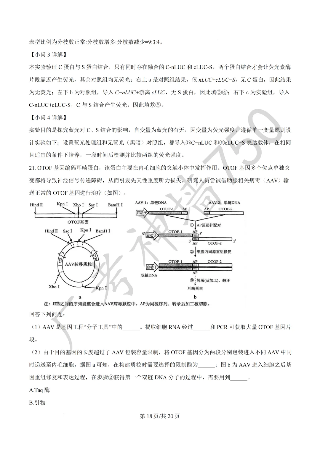 广东汕头市2026年普通高考第二次模拟考试试题 第231张