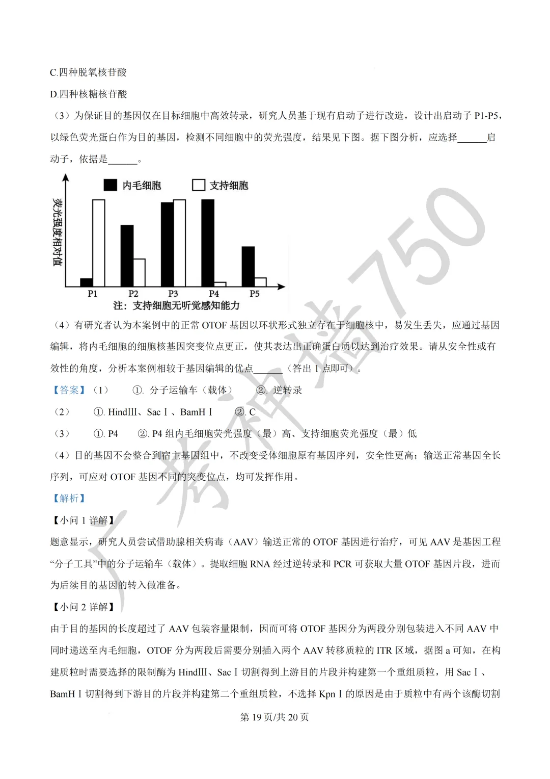 广东汕头市2026年普通高考第二次模拟考试试题 第232张