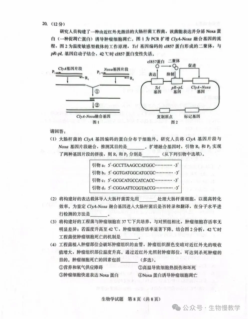 福建省厦门市2026届高中毕业班模拟测试生物学试题及参考答案 第8张