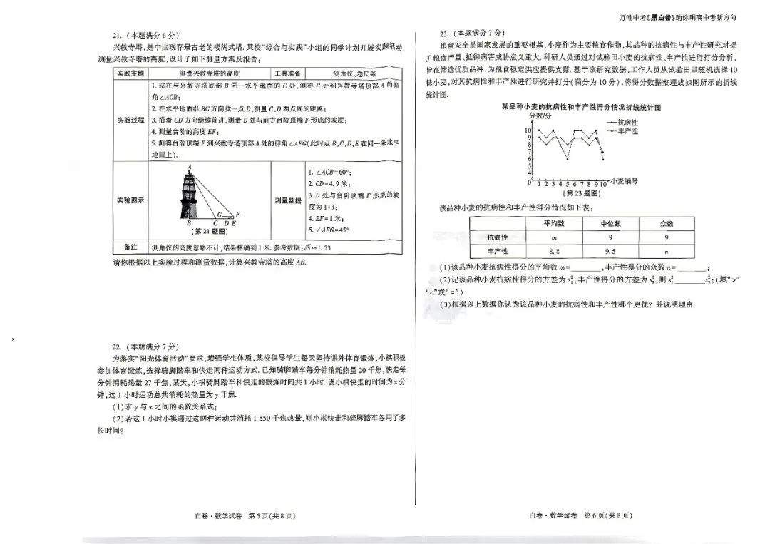 2026陕西中考黑白卷(语数英物化道法历史)下载 第18张