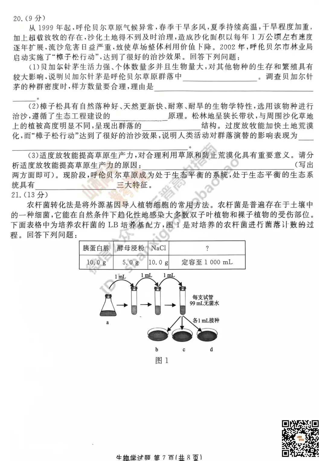 2025山西衡水金卷高三5月模拟考5.15-16全科试题与答案!附送高清打印版 第77张