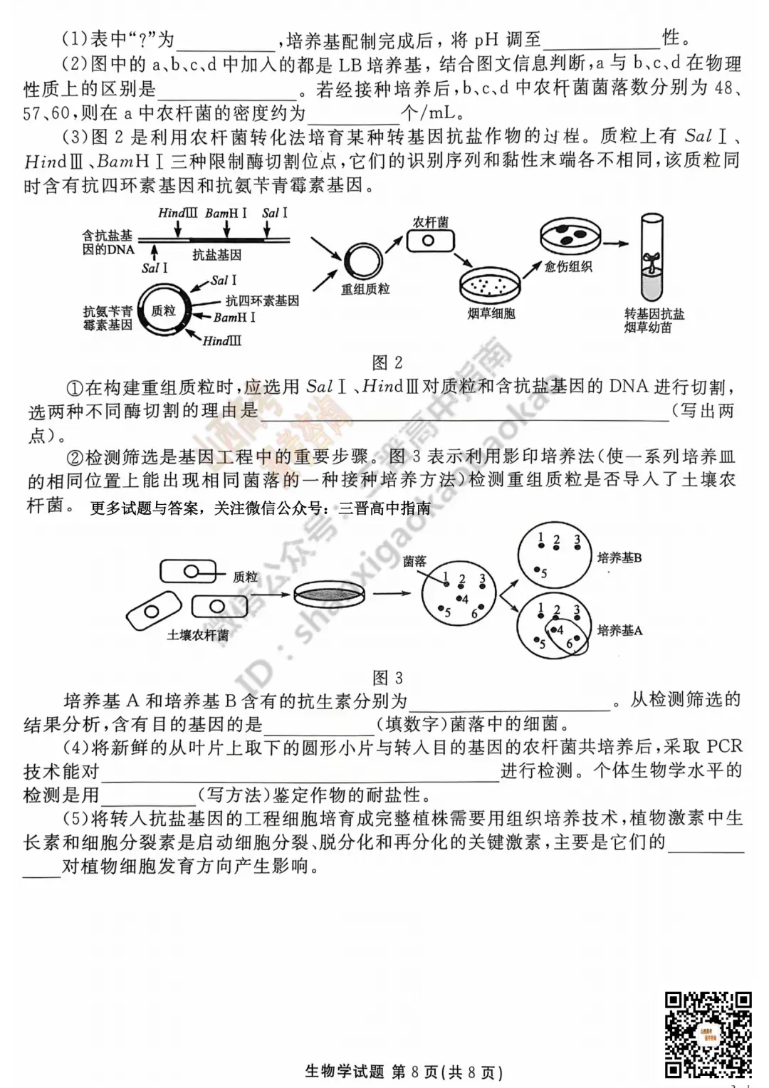 2025山西衡水金卷高三5月模拟考5.15-16全科试题与答案!附送高清打印版 第78张