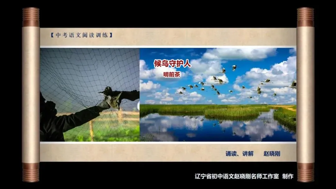 【中考阅读指导】候鸟守护人(明前茶) 第2张