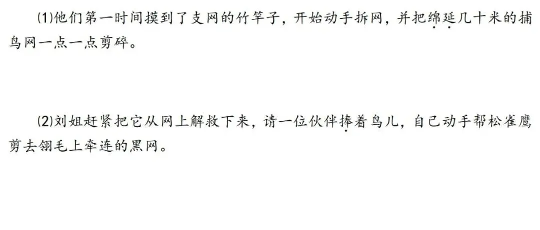 【中考阅读指导】候鸟守护人(明前茶) 第3张