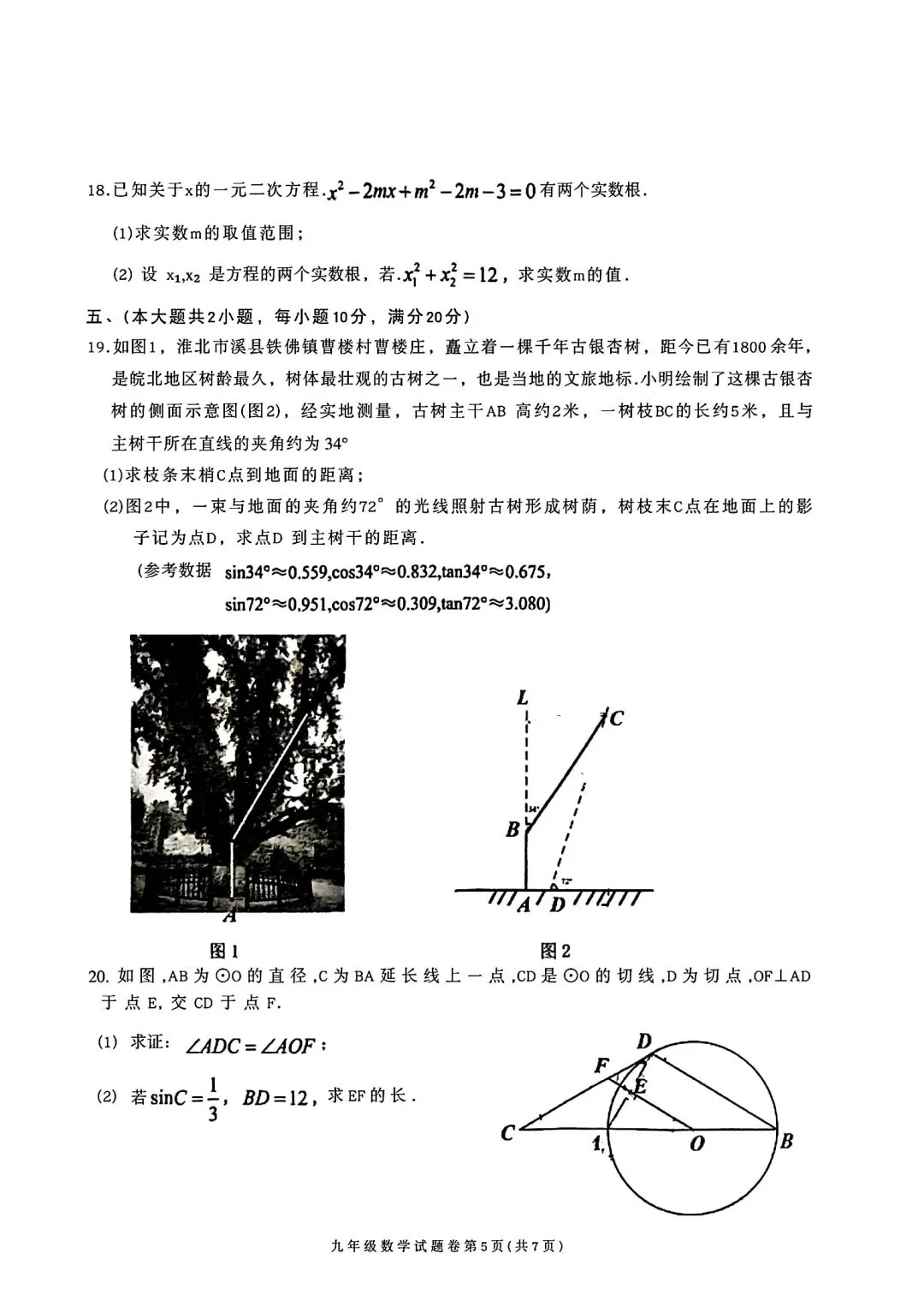 2026年淮北市中考二模数学试卷和答案2025-2026学年度九年级质量检测数学试题卷 第5张